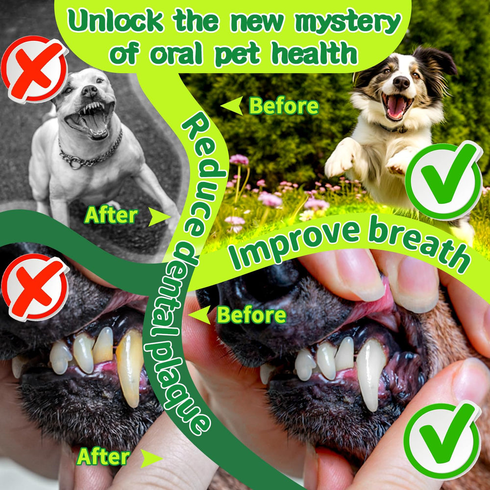 Mimo Style dog dental powder sprinkled on food to support fresh breath