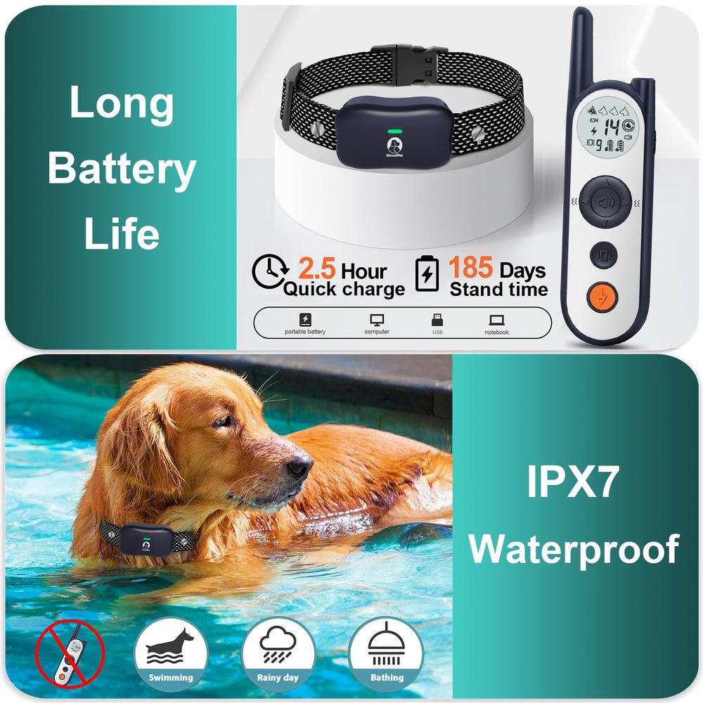 MIMOFPET IPX7 waterproof collar enables all-weather training.
