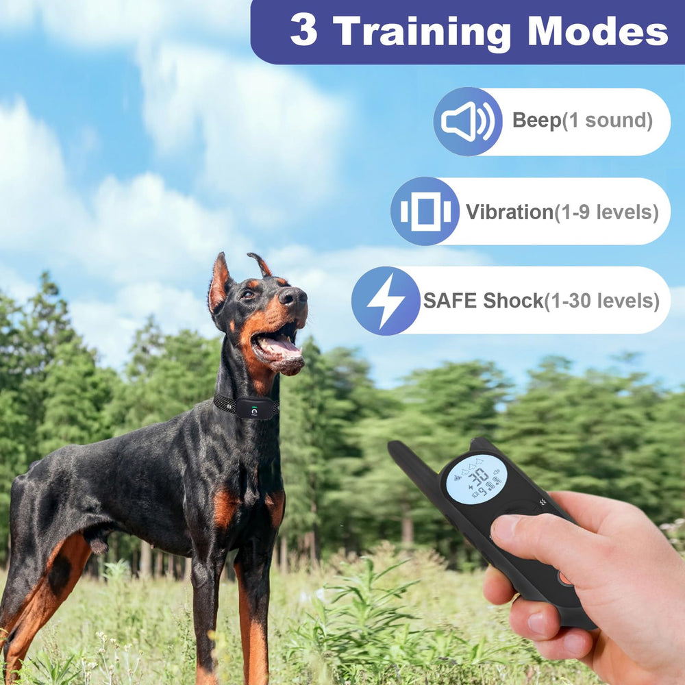 MIMOFPET training collar remote demonstrates easy control with multiple modes.
