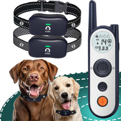 MIMOFPET wireless fence setup demonstrates quick boundary setup for dogs.