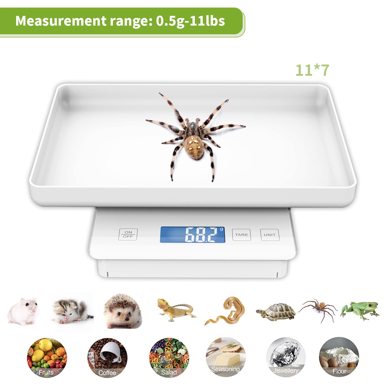 MINDPET-MED guinea pig scale tray setup keeps pets safe during weigh-ins.