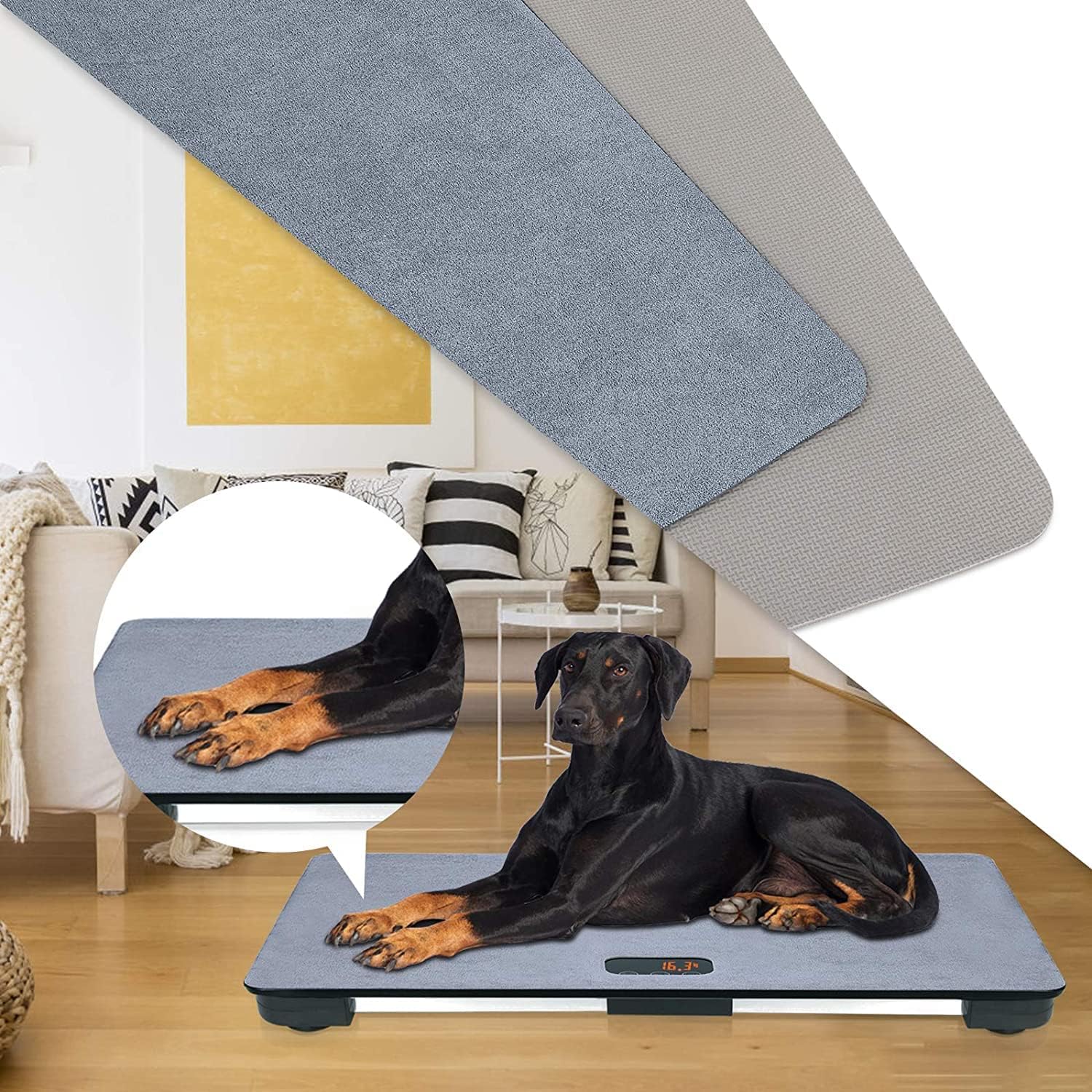 MINDPET-MED quick-cleaning surface for fast maintenance.