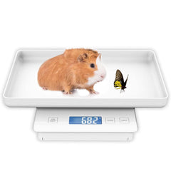 MINDPET-MED small animal scale top view ideal for quick newborn pet weight checks.