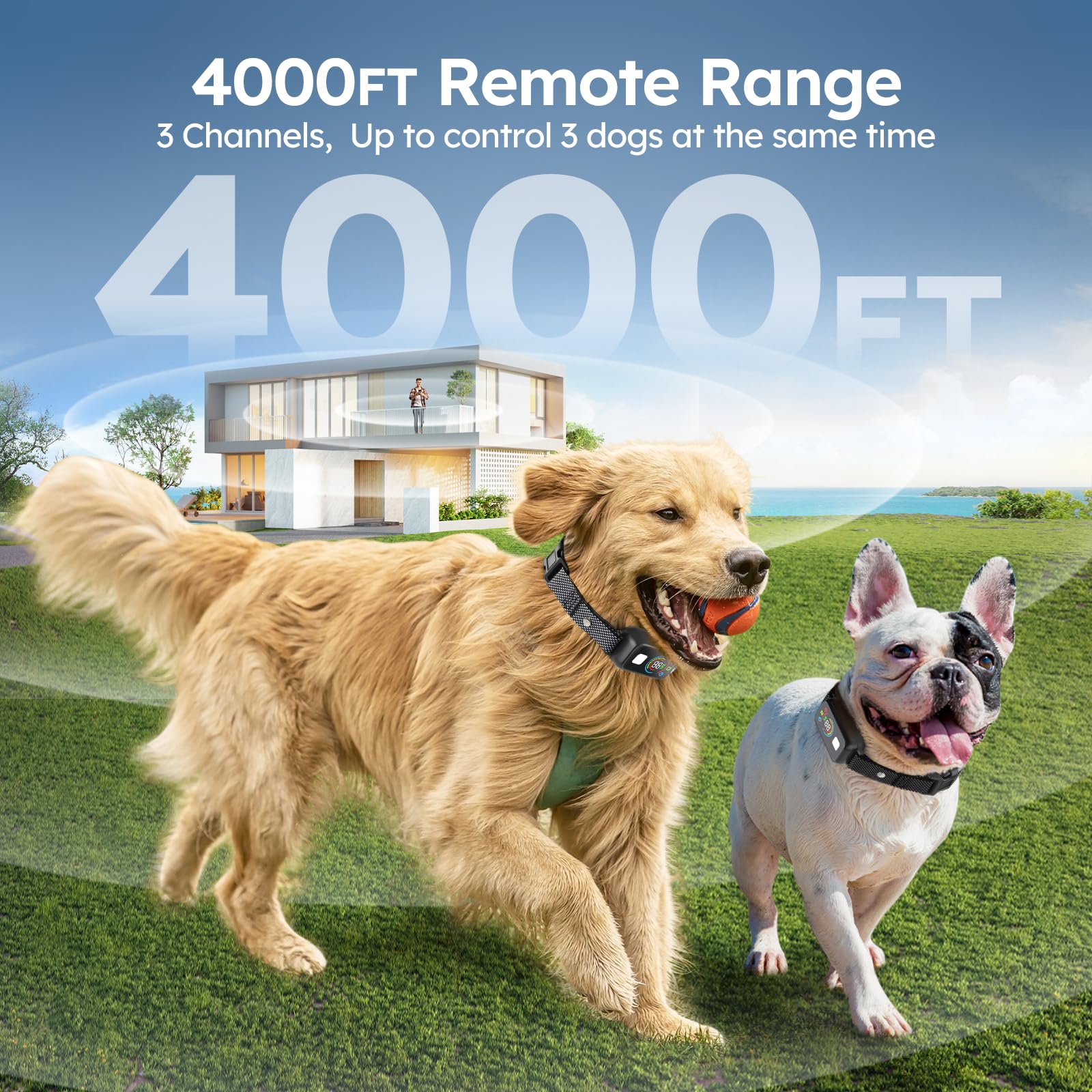 Ming Yun three-channel remote supports simultaneous training up to three dogs