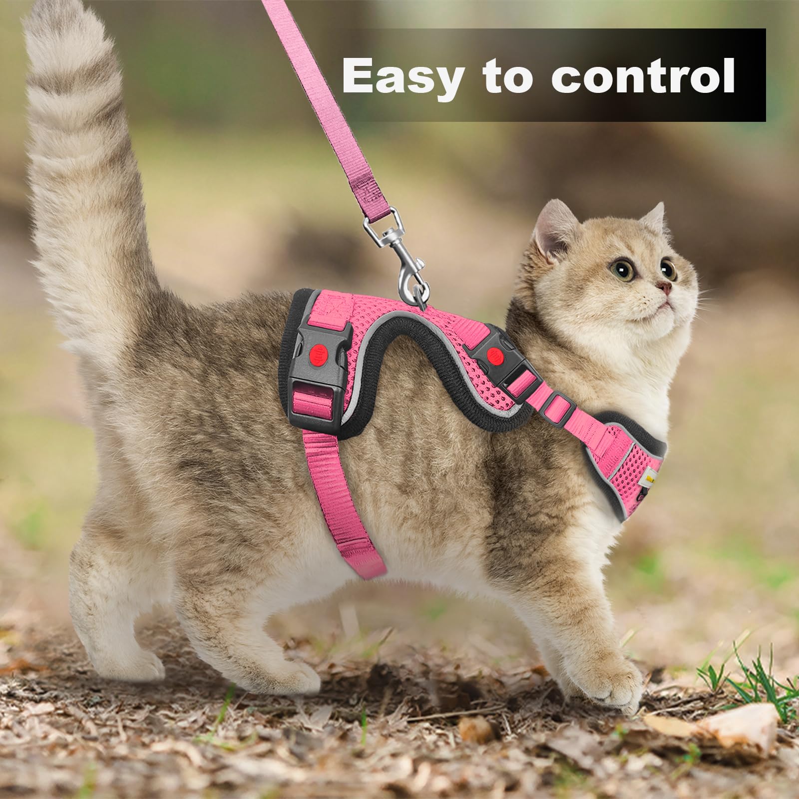 MingXpets adjustable sizes XXS XS S illustrate proper, snug fit for cats