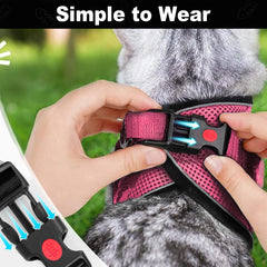 MingXpets escape-proof buckle system closeup demonstrates secure fit