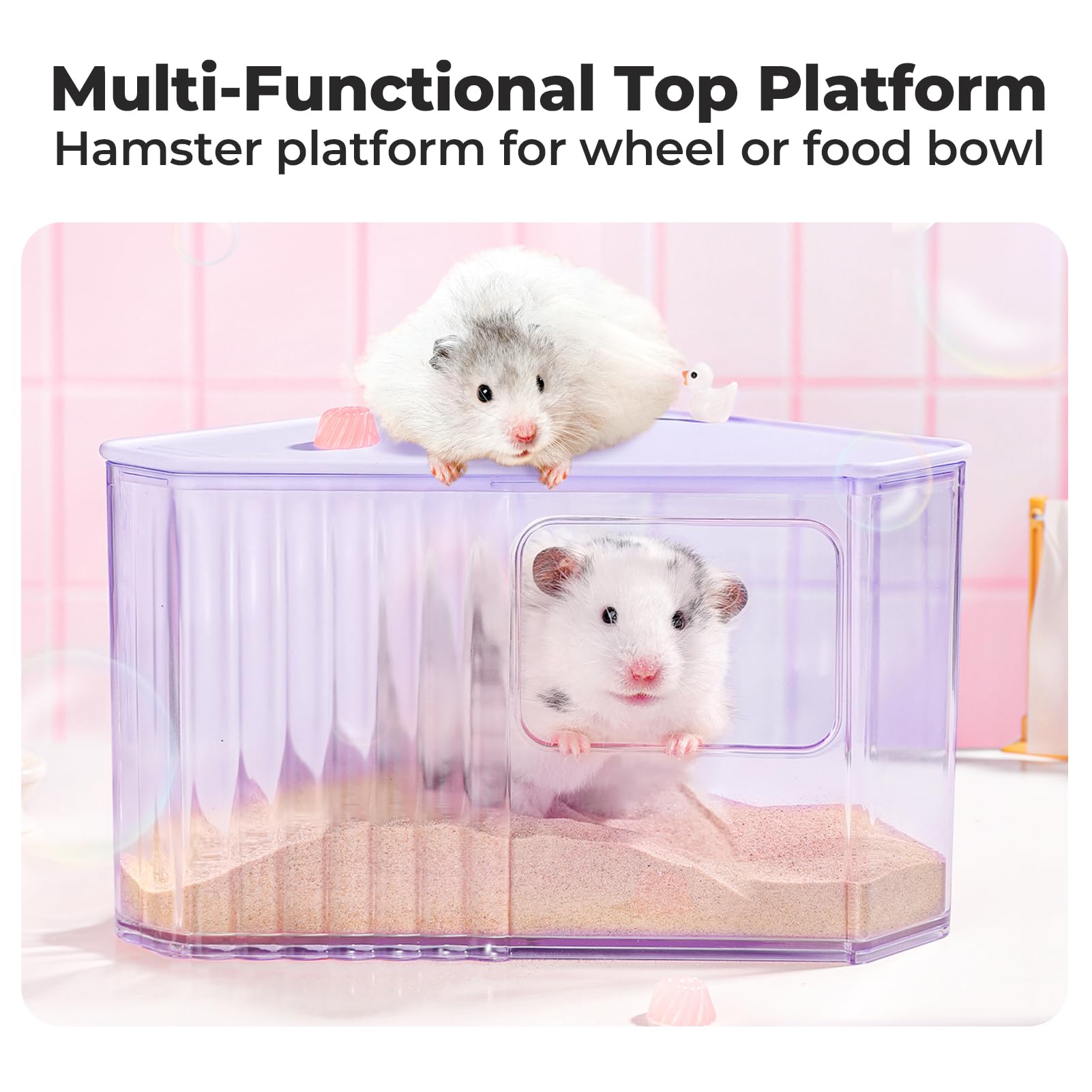miniandmoe hamster-sand-bath-container paredes-translucidas, iluminación suave para baños relajados.