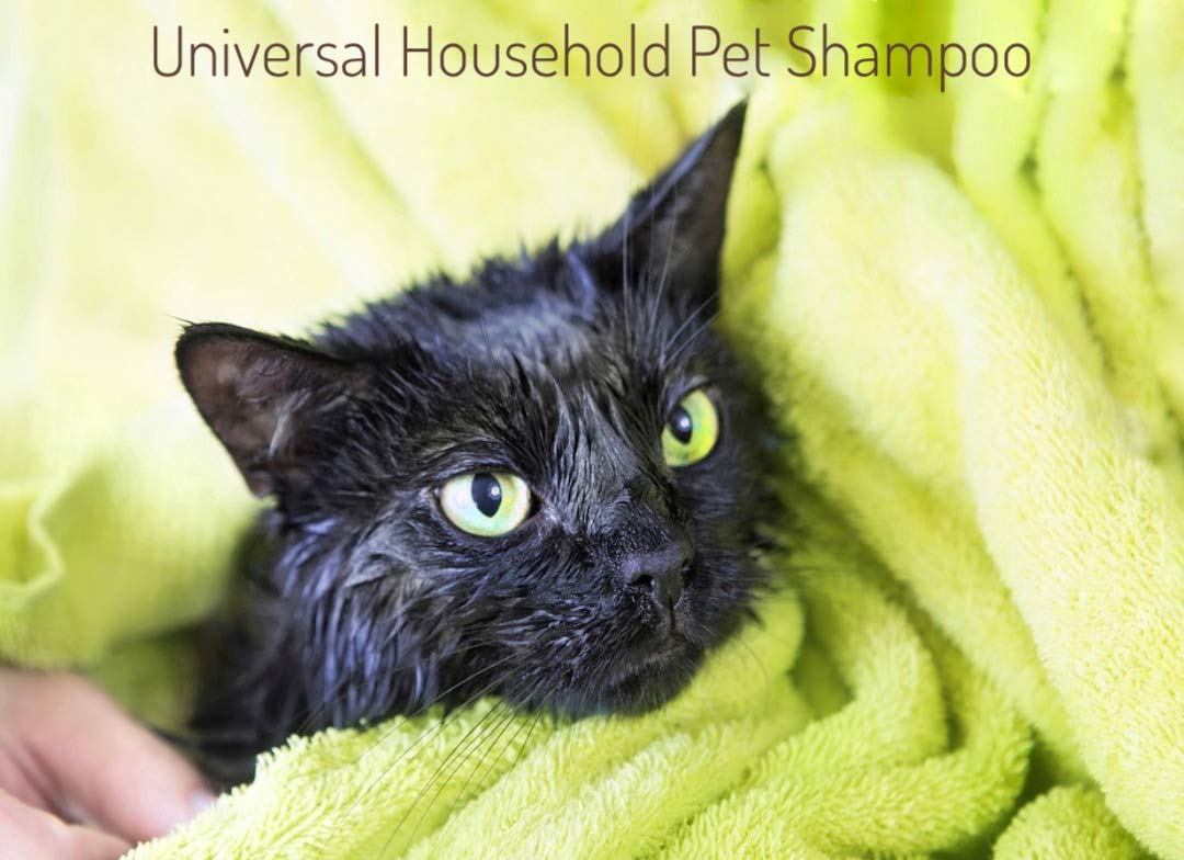 MinkSheen coat sheen image on dog fur promises a show-quality finish.