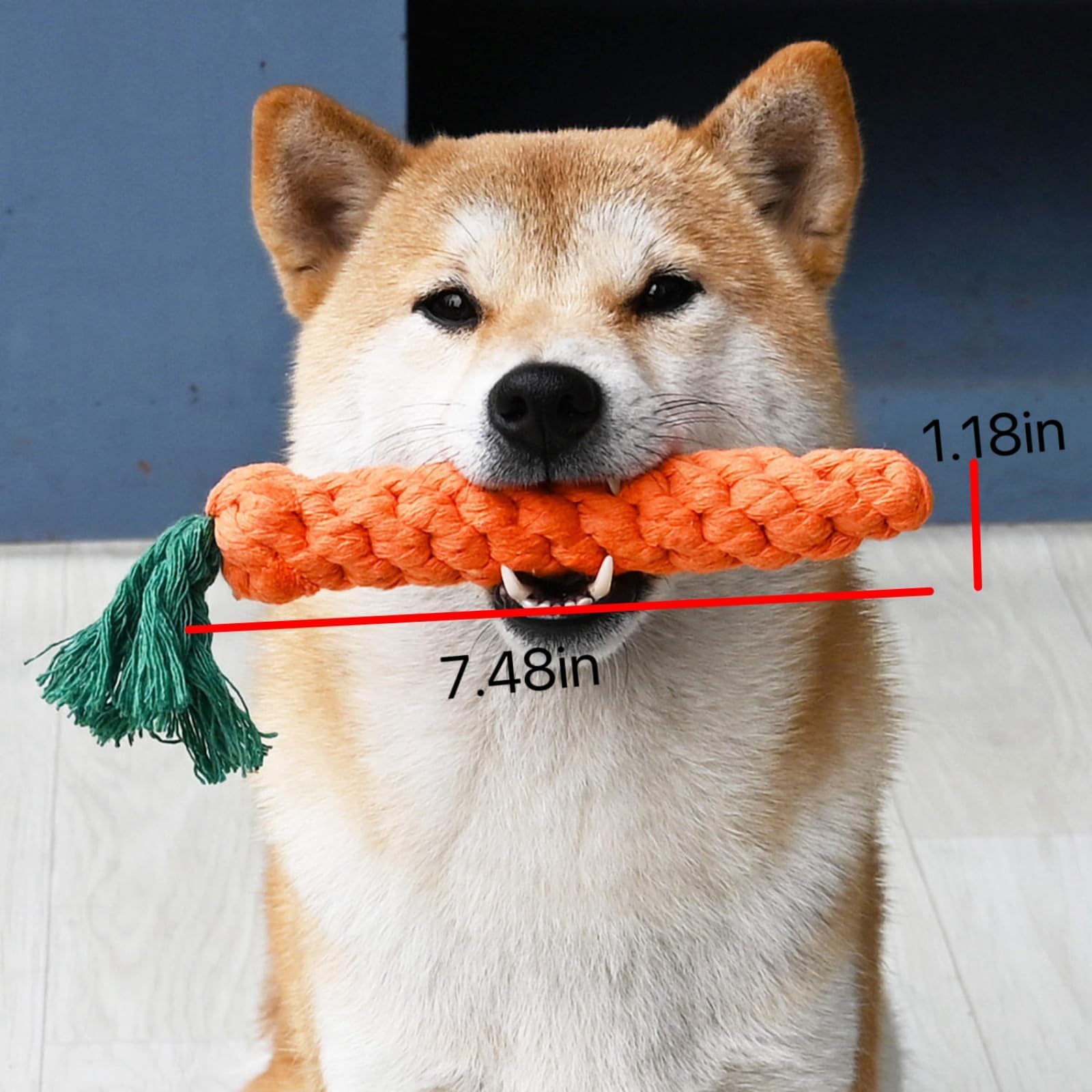 Minnko dog toy for all sizes keeps dogs engaged during family time.