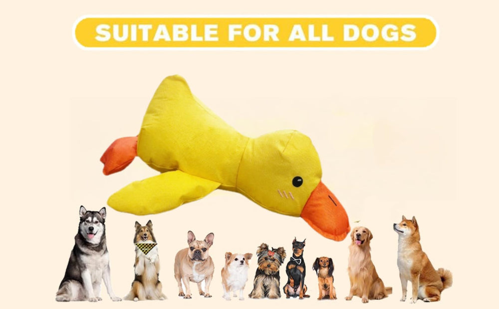 Minnko mellow duck toy suitable for dogs of all sizes