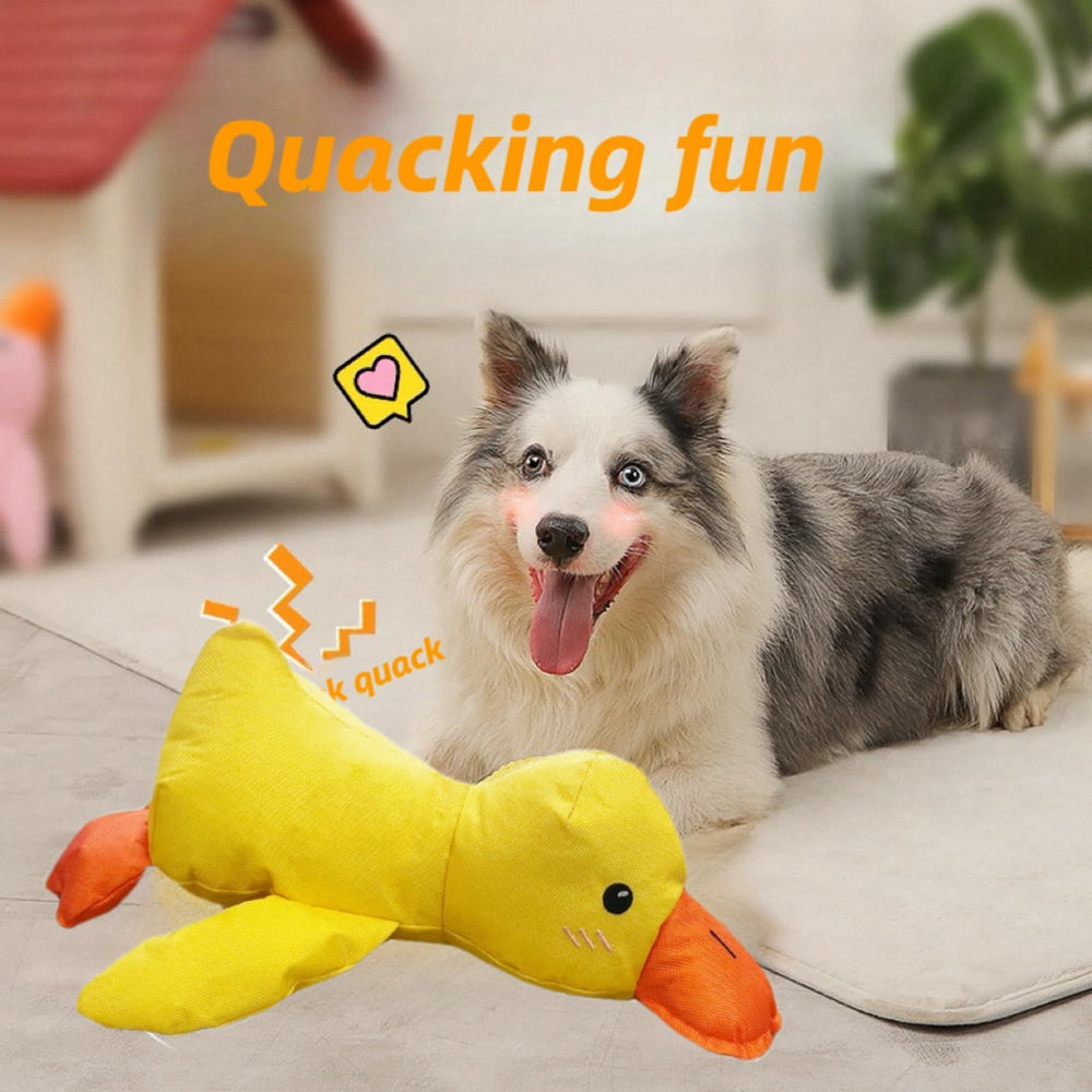 Minnko mellow duck toy chew-resistant material safe for strong chewers
