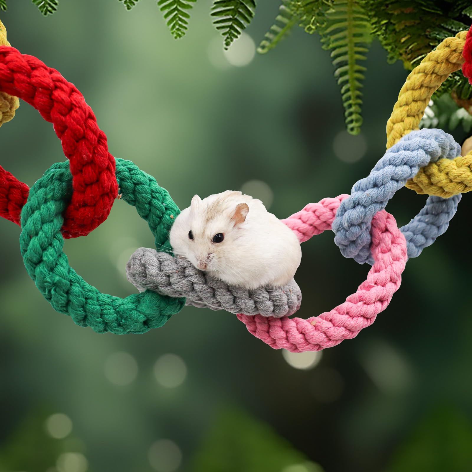 MinrzPet multi-pet climber hanging toy fits indoor cages and outdoor play.
