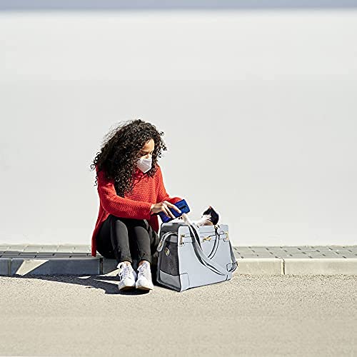 Minsong compact travel bag keeps small pets secure with a built-in leash restraint.