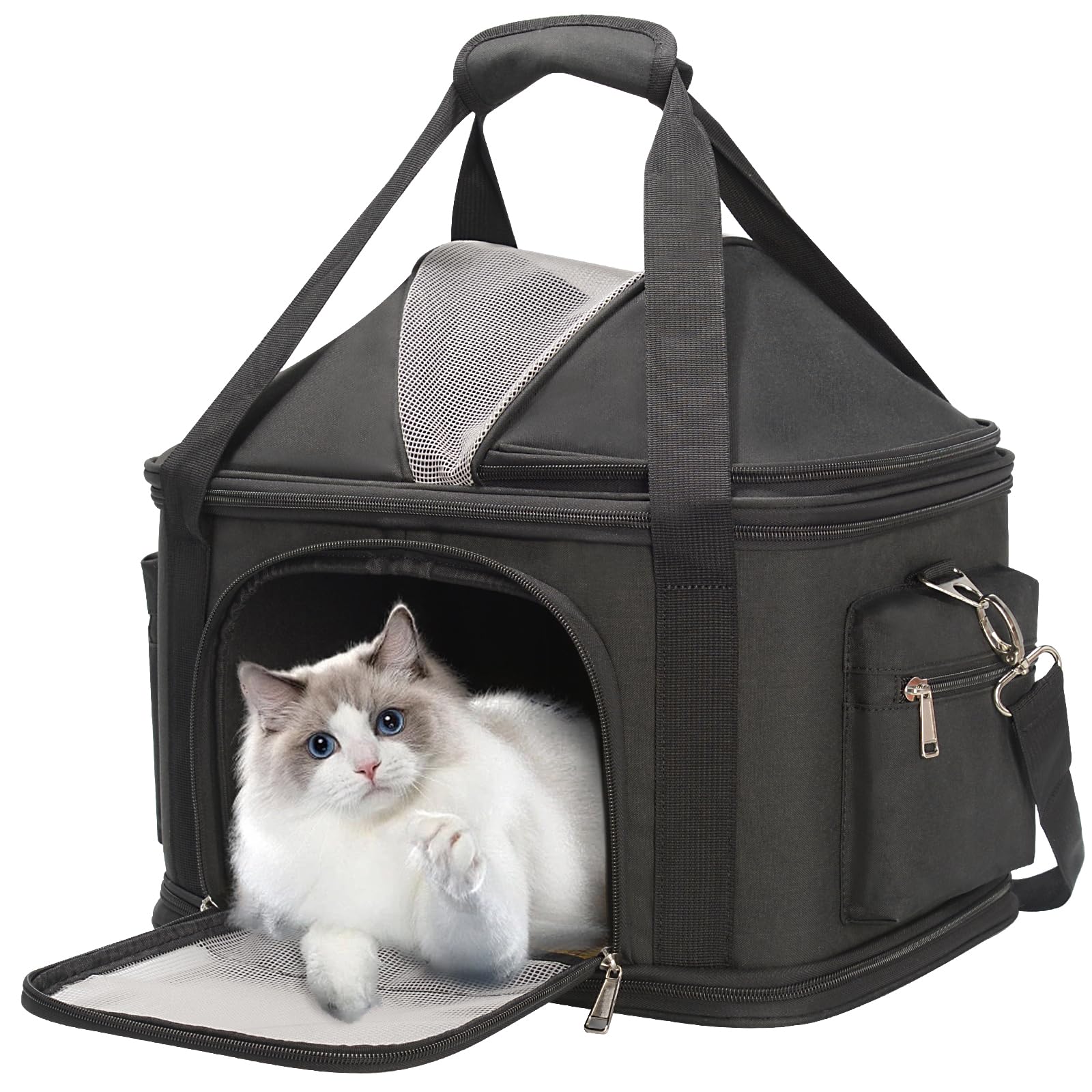 Minsong pet carrier softside front view for stylish travel with small pets.
