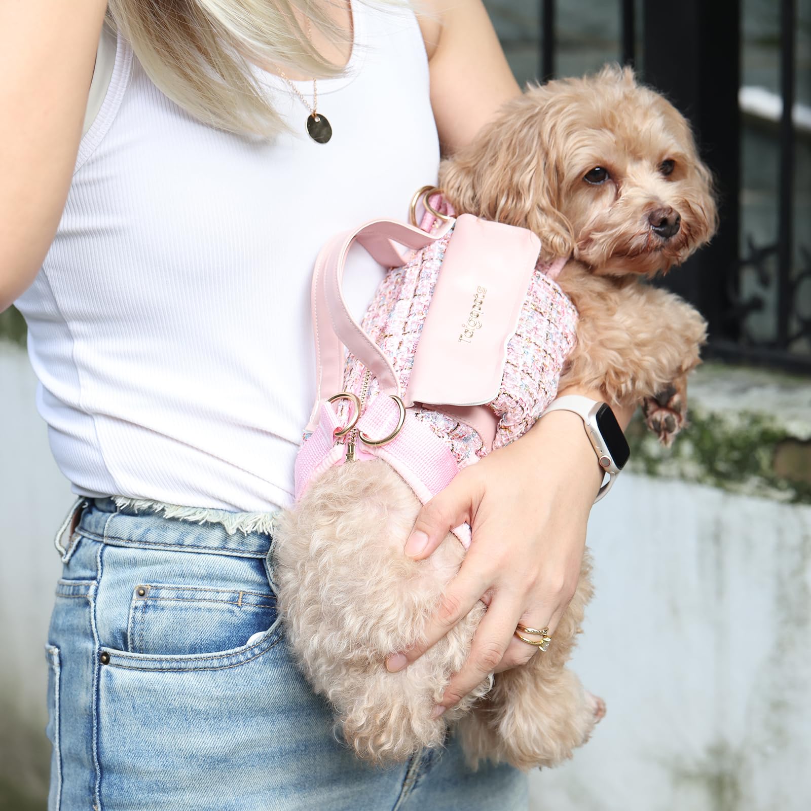 Mioboot pocketed dog harness-backpack demonstrates organized essentials during hikes.