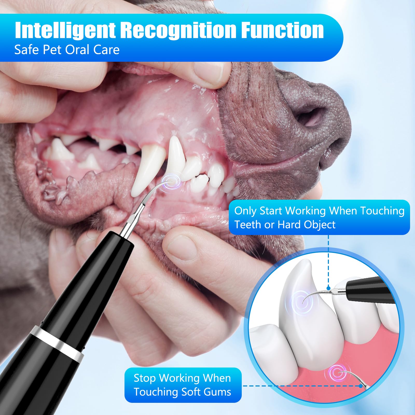 MIONJO dog tartar remover replacement heads kit for versatile dental care tasks.
