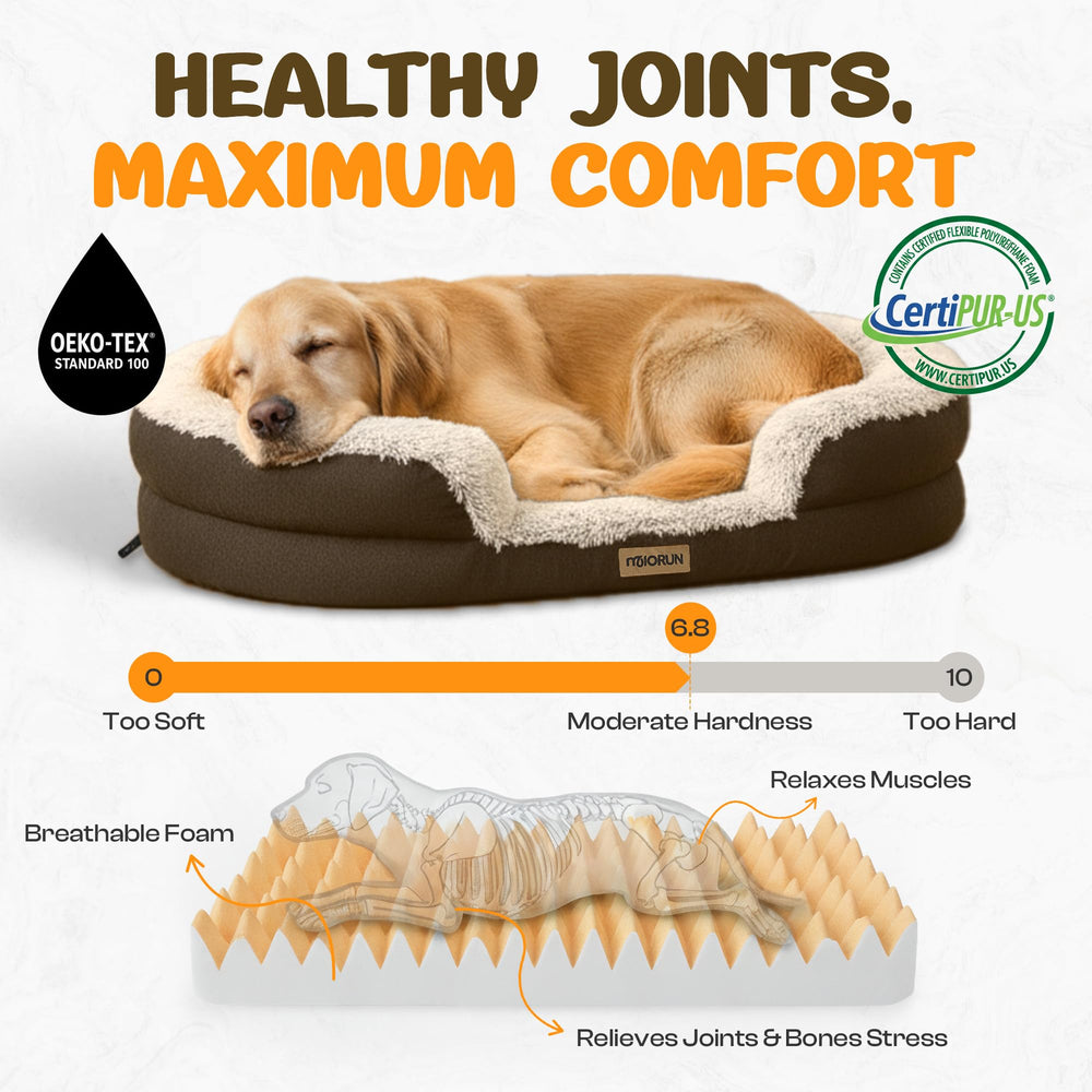 Miorun Fluffy Orthopedic Bed curved bolster close-up shows wraparound support for curl-ups