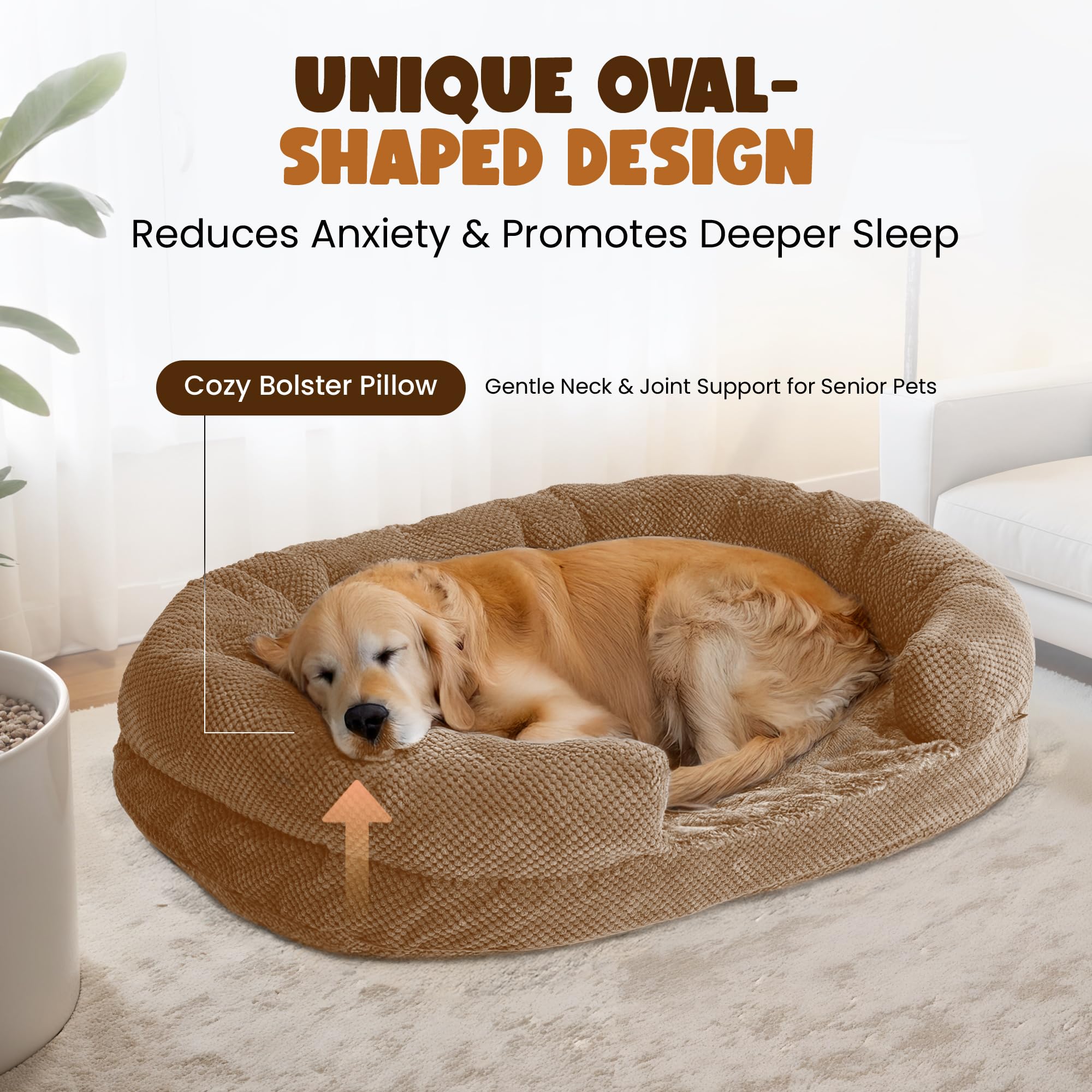 Miorun bed camel low-cut entrance enables easy in-and-out for aging or shy dogs.
