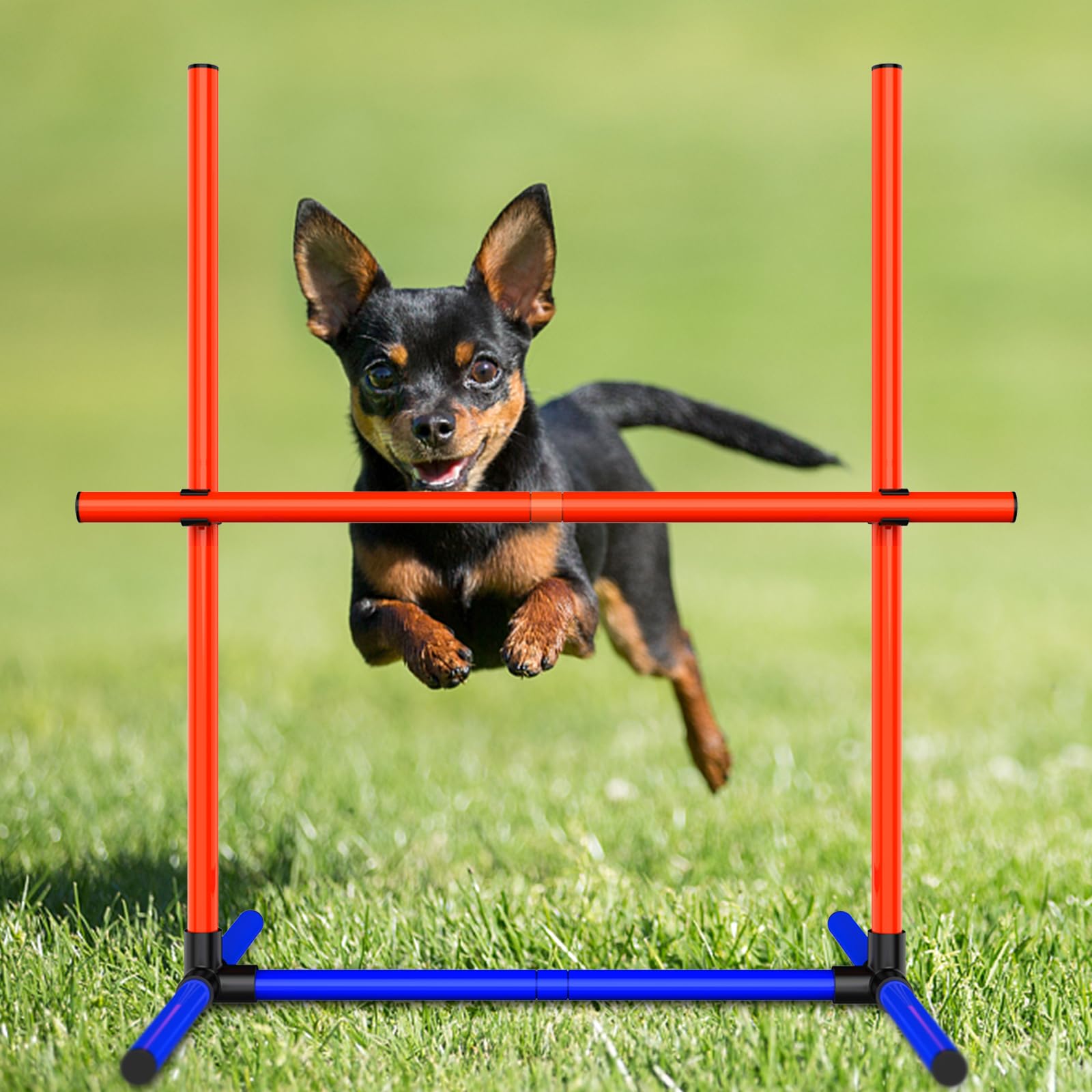 mioule jumping hoop close-up shows durable hoop and smooth surface.