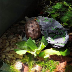 Mipukbay basking platform trapezoid design supports climbing exercises for reptiles.