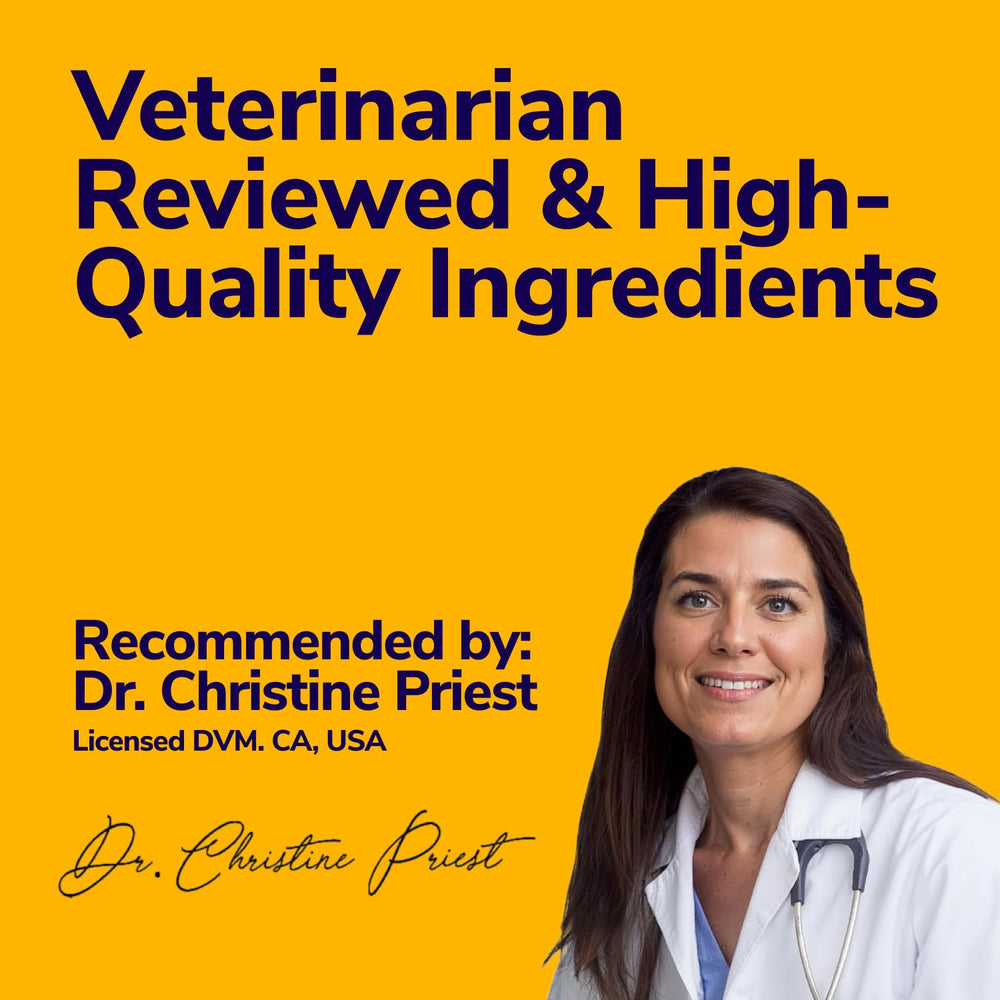 Miracle Vet medicated dog shampoo dog-paws closeup implies safe, gentle cleansing.