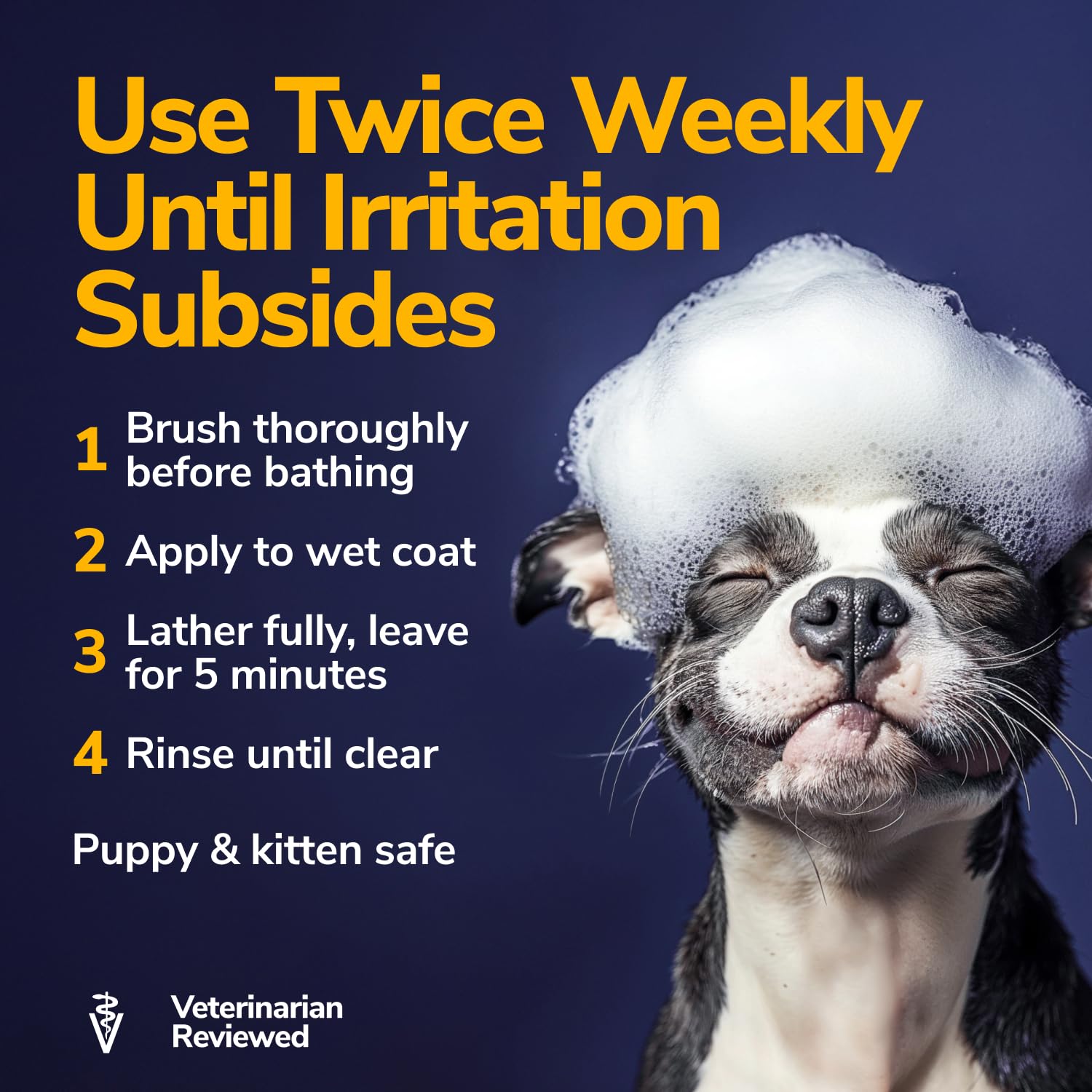 Miracle Vet medicated dog shampoo skin-health shot emphasizes balanced skin condition support.
