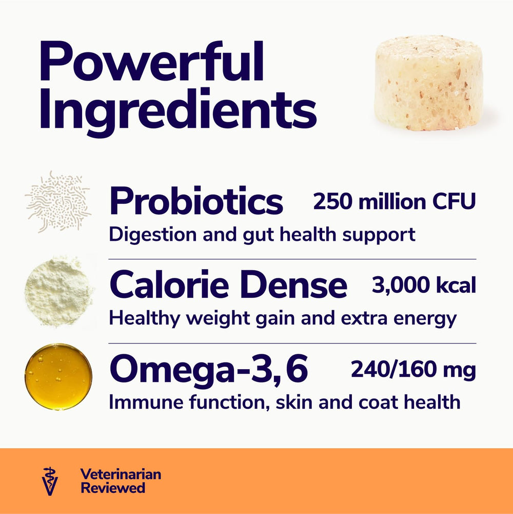 Miracle Vet probiotics visual dog gut health supports digestion