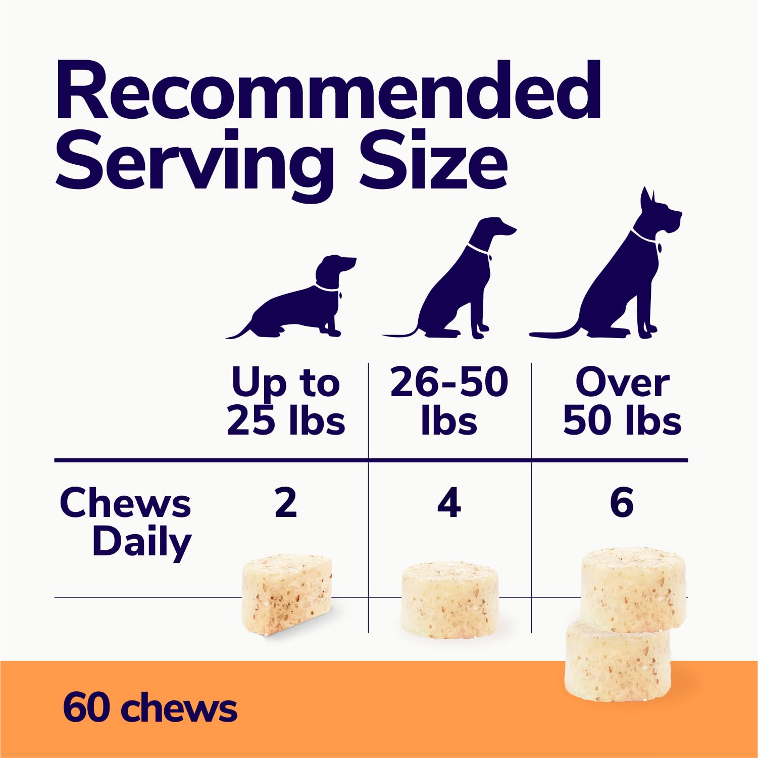 Miracle Vet recovery support dogs image highlights post-illness recovery
