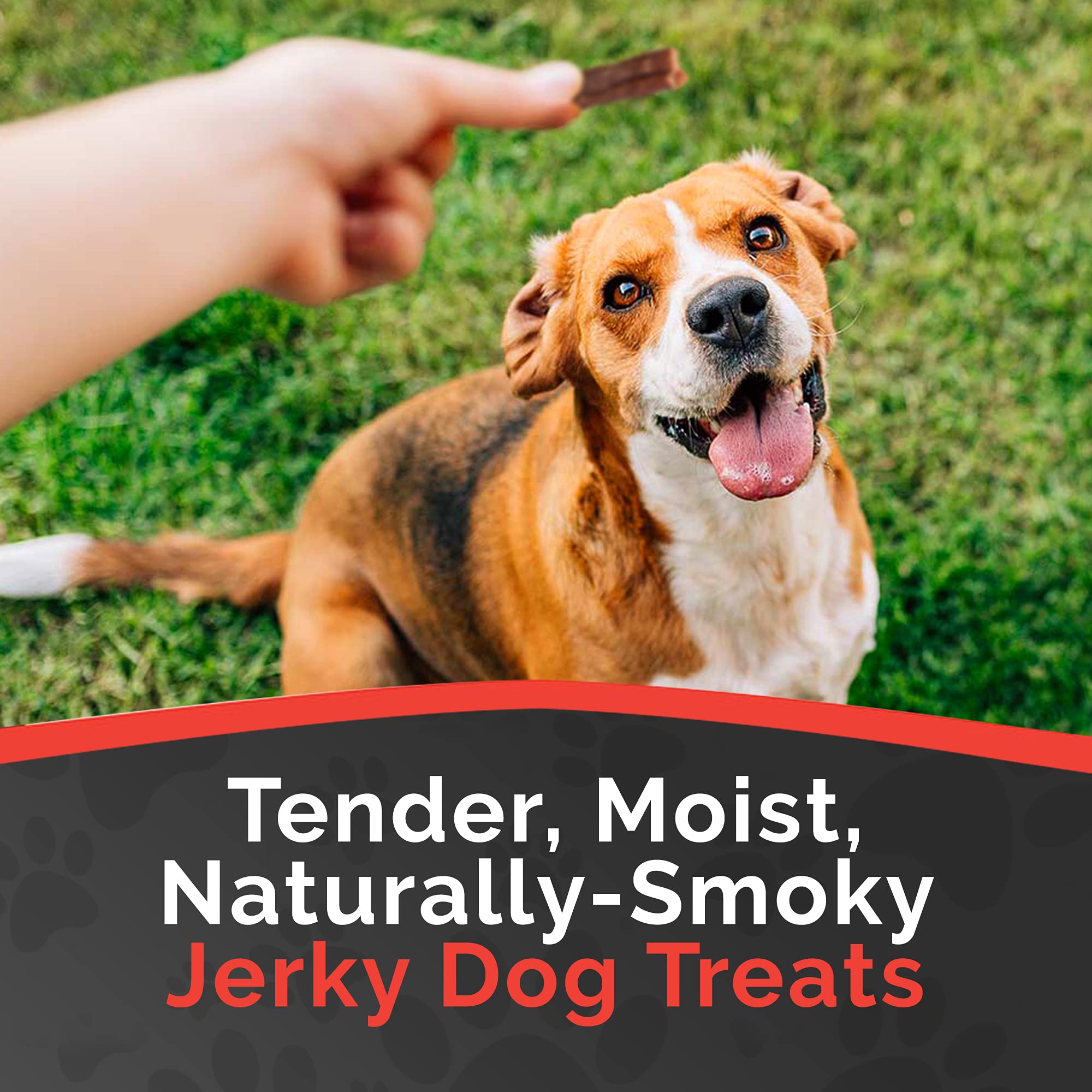 Miss Nelly's Jerky ingredients bowl shows wholesome real meat and natural add-ins for dogs.