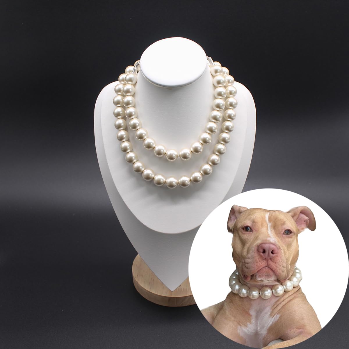 MISS PET adjustable collar for medium to large dogs offers comfortable fit