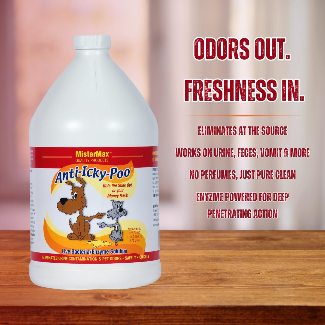 Mister Max Anti Icky Poo carpet-application on stains removes odors