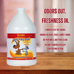 Mister Max Anti Icky Poo carpet-application on stains removes odors