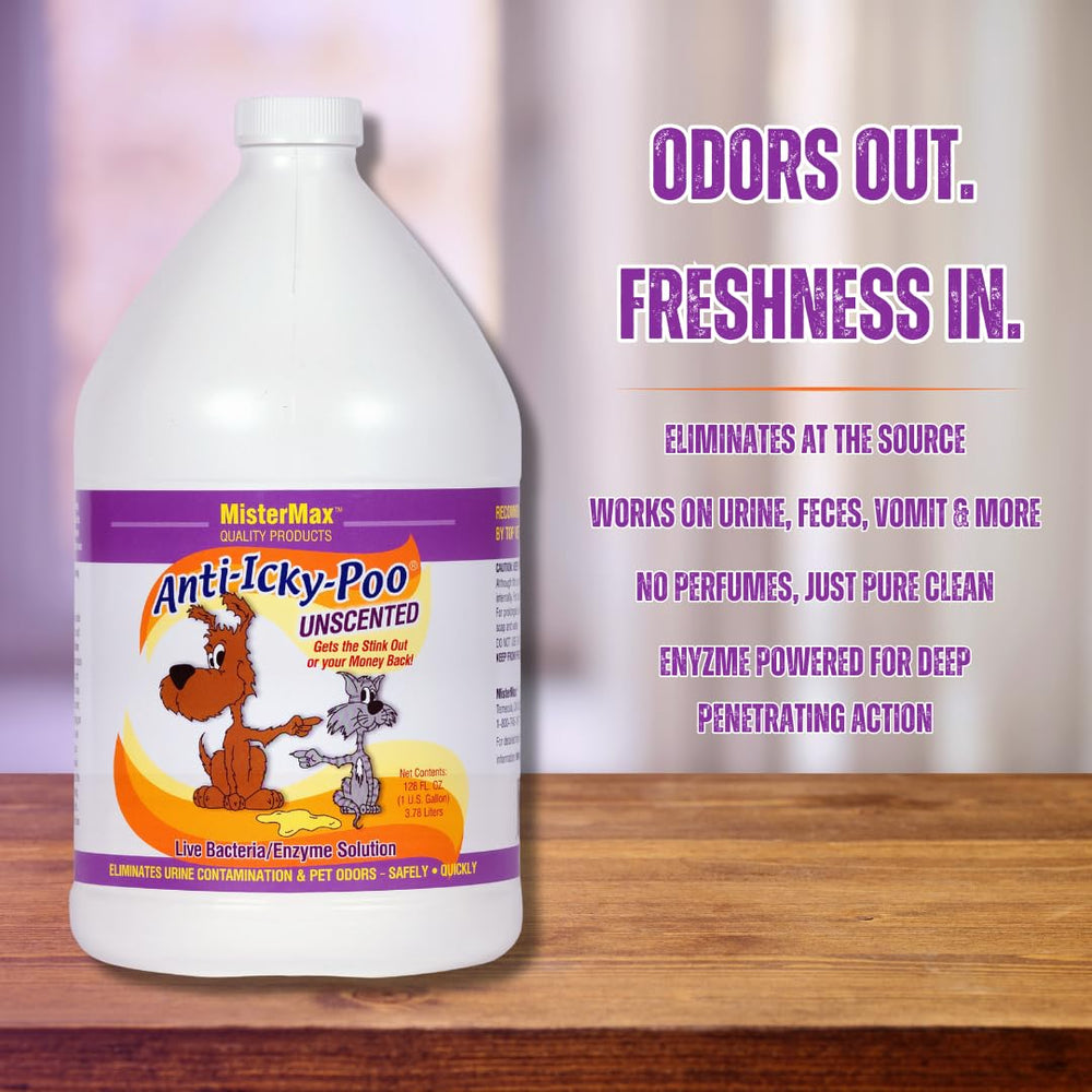 Mister Max Anti Icky Poo spray application demonstrates easy carpet odor removal.