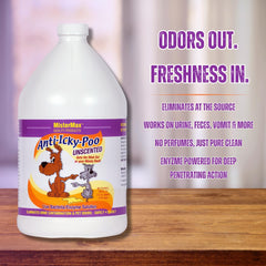 Mister Max Anti Icky Poo spray application demonstrates easy carpet odor removal.