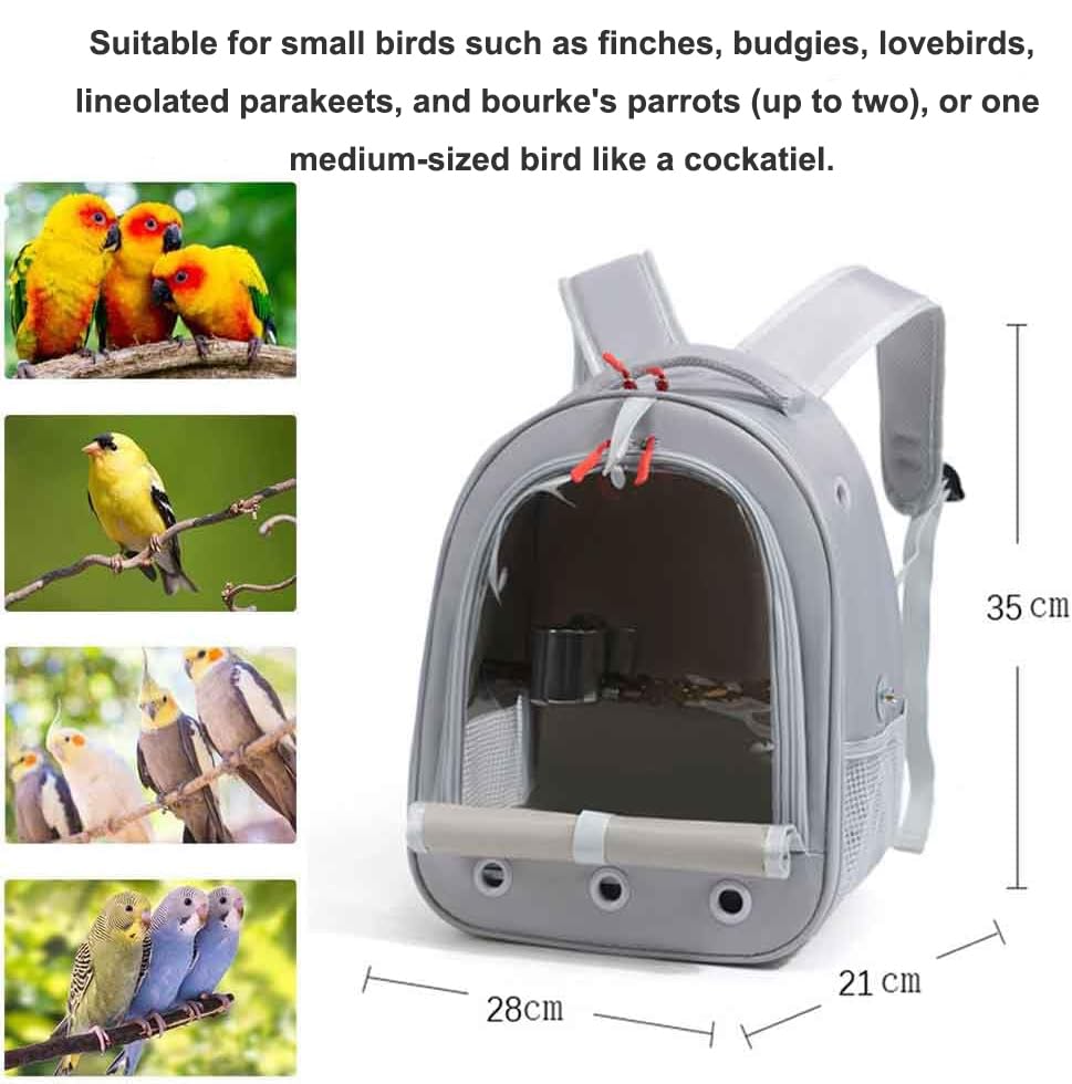 Misyue Bird Traval Carrier Cage interior with natural wood perch supports foot health.