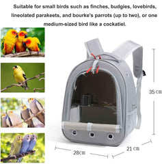 Misyue Bird Traval Carrier Cage interior with natural wood perch supports foot health.