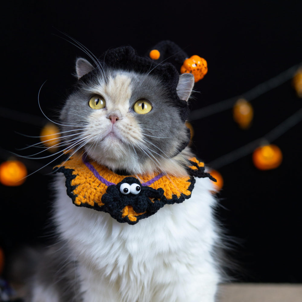MITOCAPY adjustable-fit costume adapts to different pets.