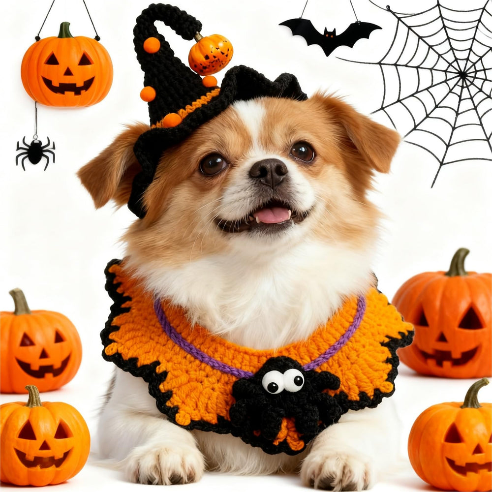 MITOCAPY cat and dog wear display in complete set.
