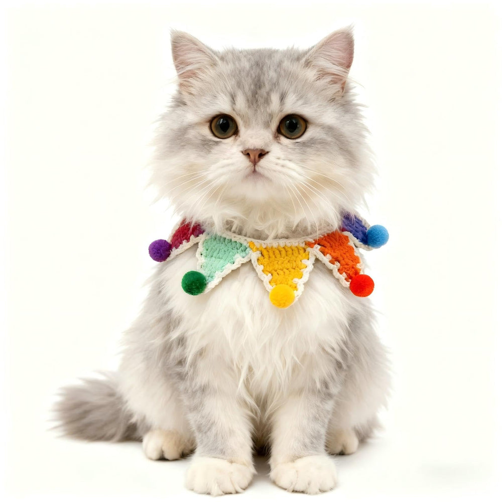 MITOCAPY handmade knitted rainbow dog bandana boosts stylish Pride photos.
