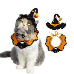 MITOCAPY pumpkin hat on small dog for festive look.