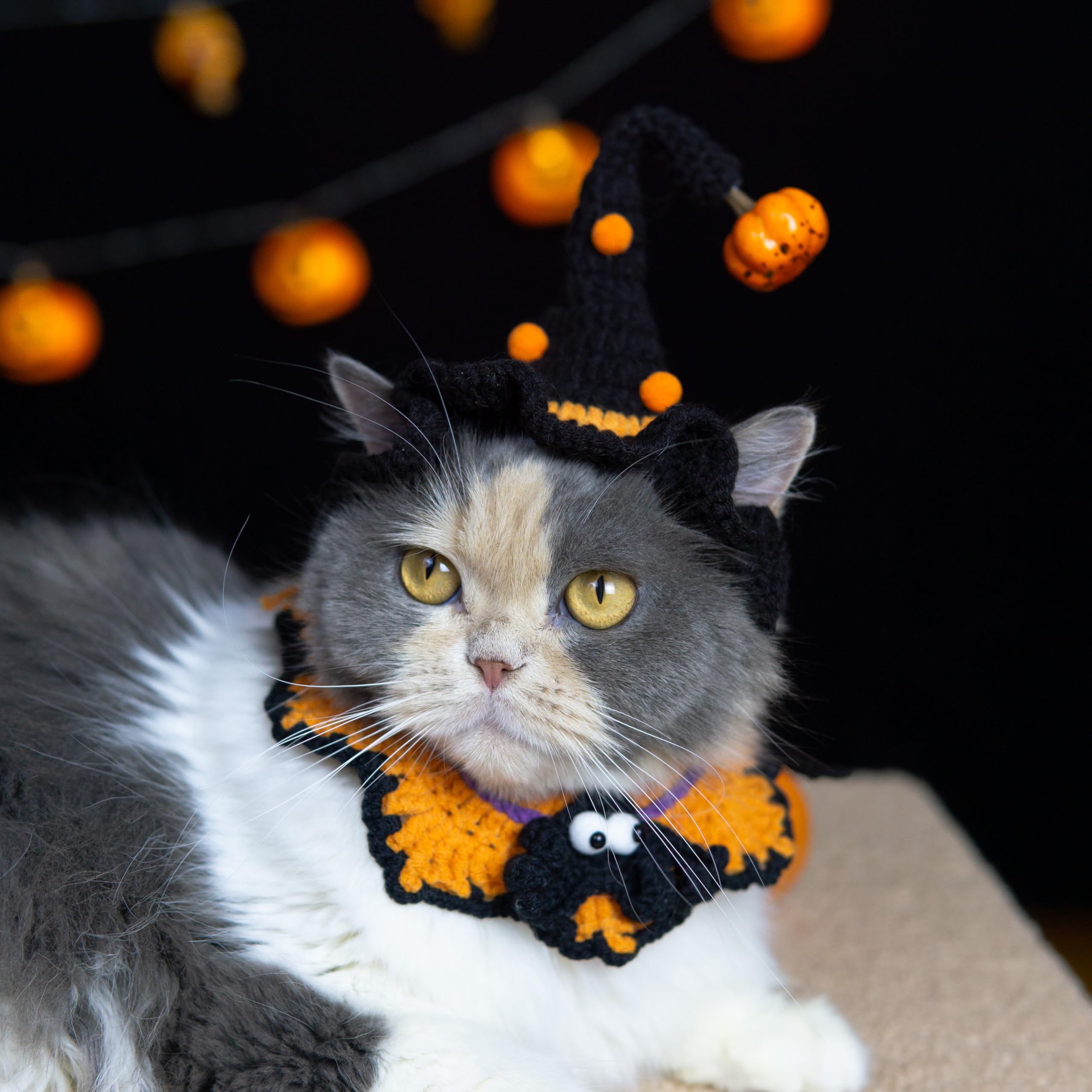 MITOCAPY small-pet ensemble ready for Halloween events.