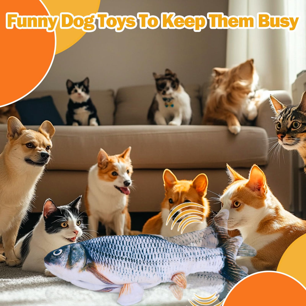 Mity Rain boredom-buster dog toy helps keep dogs active when owners are away