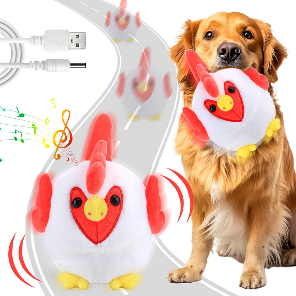 Mity Rain Crazy Chicken dog toy wiggles to entertain dogs during playtime.