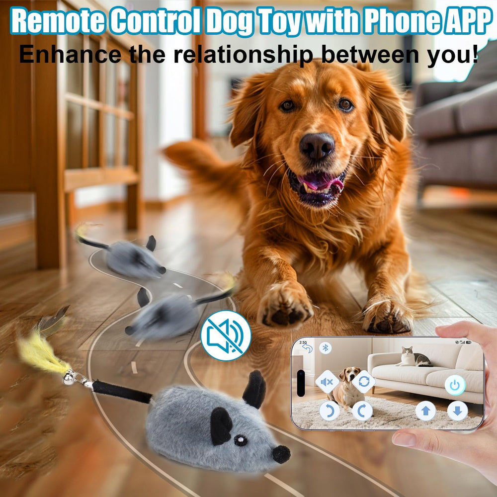 Mity Rain dog mouse toy squeak shown to attract dogs