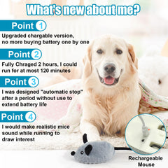 Mity rain dog toy delivers realistic squeak with extended tail to spark chasing instinct.