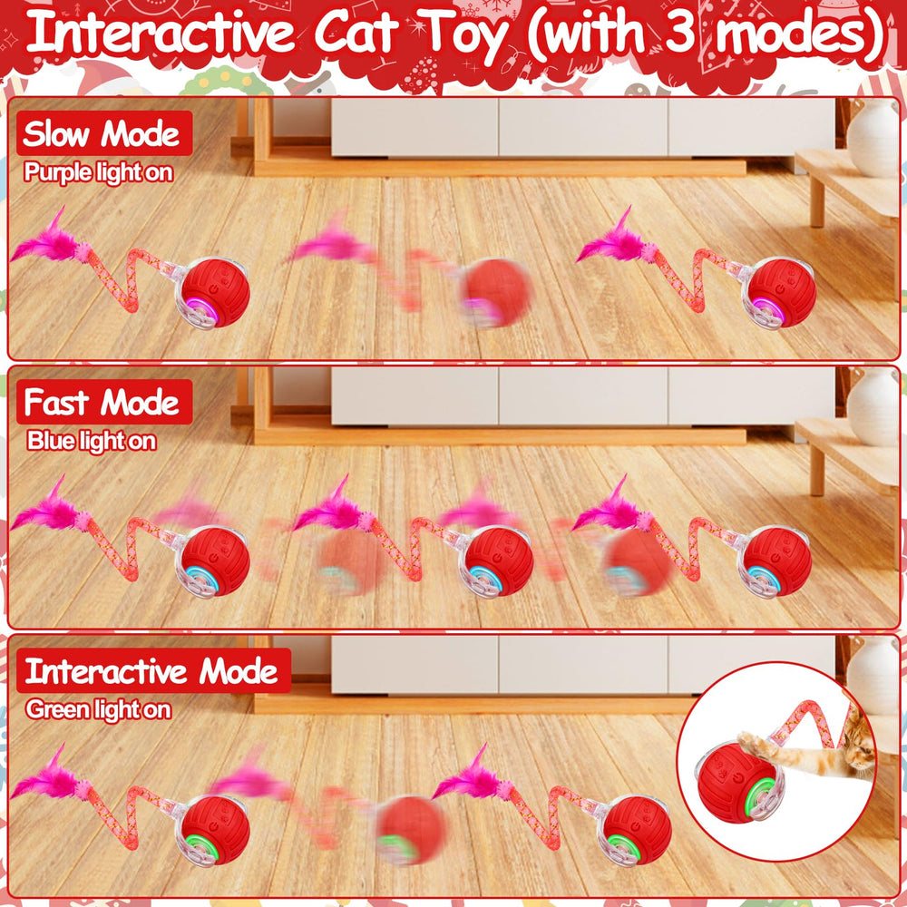 Mity Rain indoor cat toy ball supports independent play and enrichment.