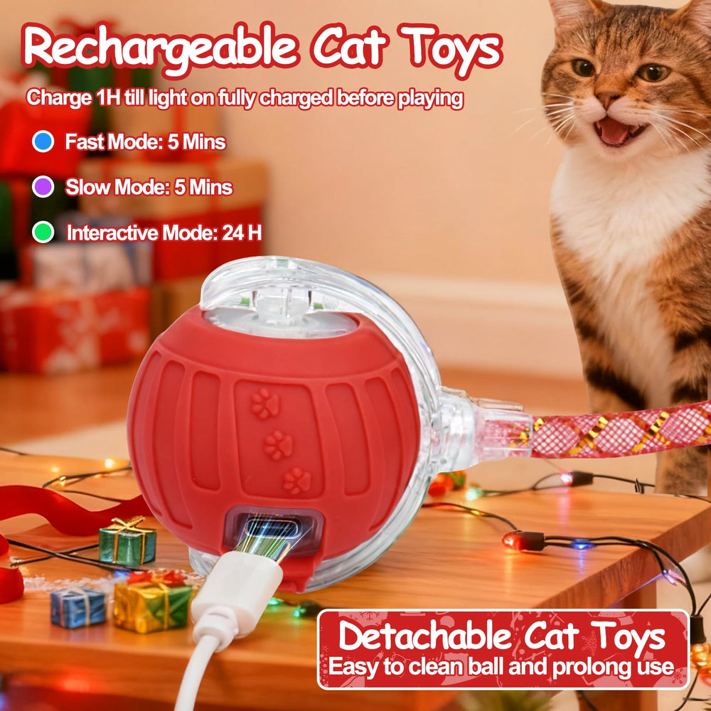Mity Rain rolling action cat toy ball keeps indoor cats engaged.