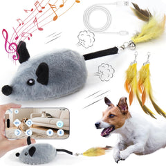 Mity Rain interactive dog toy app control in use for engaging playtime