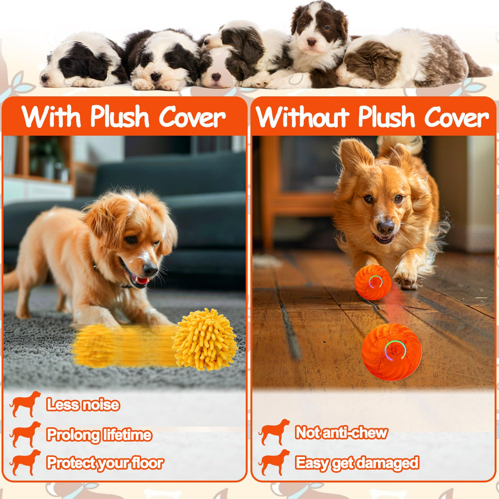 Mity Rain orange ball lights attract dogs during evening play.
