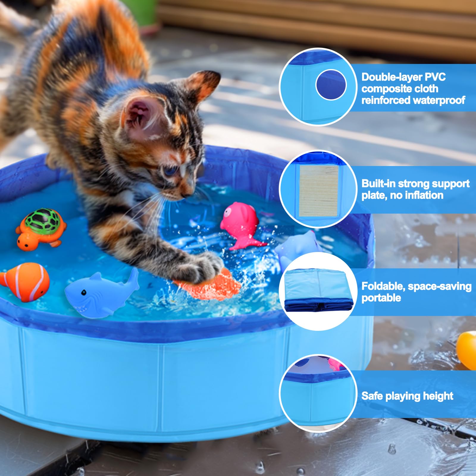 Peces dentro de la piscina mantienen al gato activo sin salir del hogar